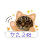 真顔ねこスタンプ(  ˆΟˆ  )（個別スタンプ：4）