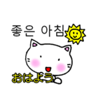 よく使う言葉韓国語日本語訳付き にゃん太（個別スタンプ：1）