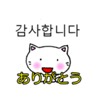 よく使う言葉韓国語日本語訳付き にゃん太（個別スタンプ：3）