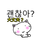 よく使う言葉韓国語日本語訳付き にゃん太（個別スタンプ：13）