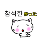 よく使う言葉韓国語日本語訳付き にゃん太（個別スタンプ：16）