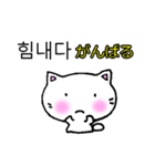 よく使う言葉韓国語日本語訳付き にゃん太（個別スタンプ：20）