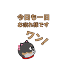 柴犬の福ちゃんスタンプ第1弾です（個別スタンプ：8）