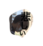 葛です（個別スタンプ：5）