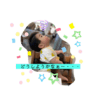 スーさんあーたんの日々（個別スタンプ：9）