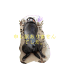 スーさんあーたんの日々（個別スタンプ：16）
