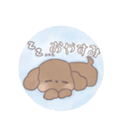 トイプードル すたんぷ（個別スタンプ：1）