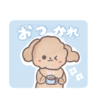 トイプードル すたんぷ（個別スタンプ：4）