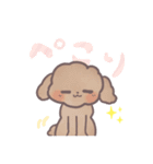 トイプードル すたんぷ（個別スタンプ：5）