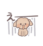 トイプードル すたんぷ（個別スタンプ：7）