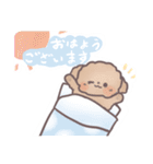 トイプードル すたんぷ（個別スタンプ：8）