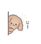 トイプードル すたんぷ（個別スタンプ：9）