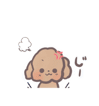 トイプードル すたんぷ（個別スタンプ：17）
