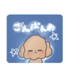 トイプードル すたんぷ（個別スタンプ：19）
