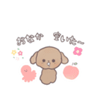 トイプードル すたんぷ（個別スタンプ：20）