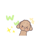 トイプードル すたんぷ（個別スタンプ：21）