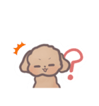 トイプードル すたんぷ（個別スタンプ：24）