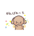 トイプードル すたんぷ（個別スタンプ：25）