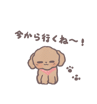 トイプードル すたんぷ（個別スタンプ：29）