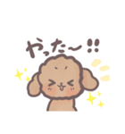 トイプードル すたんぷ（個別スタンプ：30）