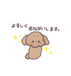トイプードル すたんぷ（個別スタンプ：40）