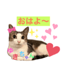 あめくんとゆきちゃん（個別スタンプ：2）