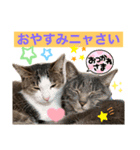 あめくんとゆきちゃん（個別スタンプ：3）