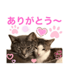あめくんとゆきちゃん（個別スタンプ：5）
