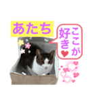 あめくんとゆきちゃん（個別スタンプ：7）