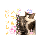 あめくんとゆきちゃん（個別スタンプ：8）