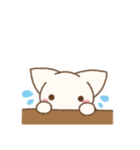 白ねこシュガーの日常スタンプ（個別スタンプ：35）