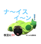 がじゅまるのお仕事（個別スタンプ：1）