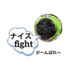 がじゅまるのお仕事（個別スタンプ：2）
