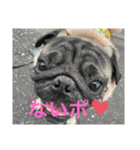 がじゅまるのお仕事（個別スタンプ：3）