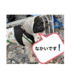 がじゅまるのお仕事（個別スタンプ：4）