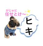 がじゅまるのお仕事（個別スタンプ：6）