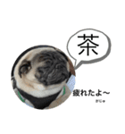 がじゅまるのお仕事（個別スタンプ：7）