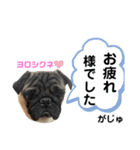 がじゅまるのお仕事（個別スタンプ：12）