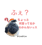 がじゅまるのお仕事（個別スタンプ：15）