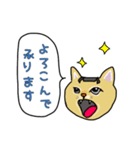 ネコの姫ちゃん（個別スタンプ：4）