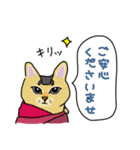ネコの姫ちゃん（個別スタンプ：5）