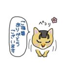 ネコの姫ちゃん（個別スタンプ：7）