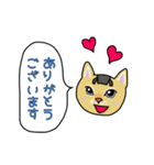 ネコの姫ちゃん（個別スタンプ：9）