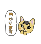 ネコの姫ちゃん（個別スタンプ：12）