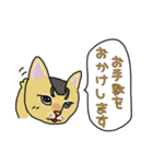 ネコの姫ちゃん（個別スタンプ：13）