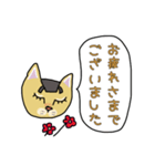 ネコの姫ちゃん（個別スタンプ：14）