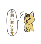 ネコの姫ちゃん（個別スタンプ：15）