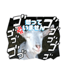 笑いヤギ〜いい事あるよ！〜（個別スタンプ：7）