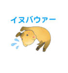 ミツバチと生き物いろいろvol.5（個別スタンプ：5）