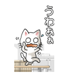 プチ猫かわいい！その1（白）（個別スタンプ：21）